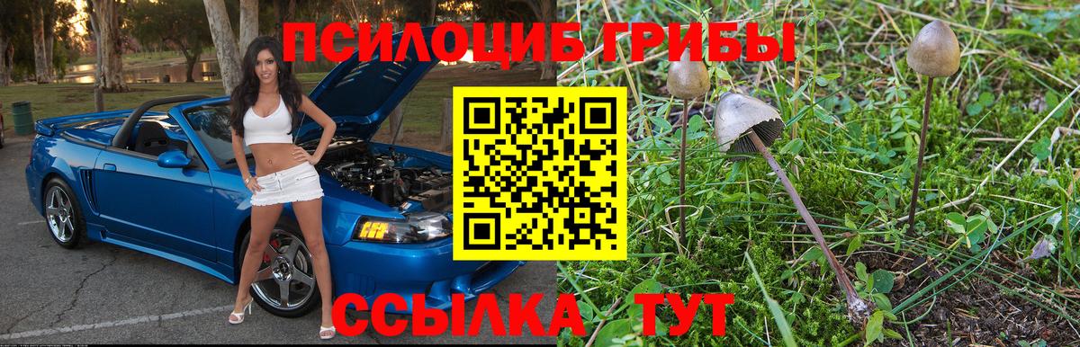 где можно купить   Псилоцибиновые грибы Magic Shrooms  Вход с VPN  Москва 